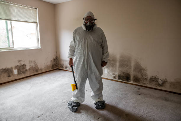 Best Fast Mold Removal  in Goldthwaite, TX