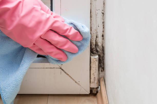 Best Mold Cleaning Services  in Goldthwaite, TX